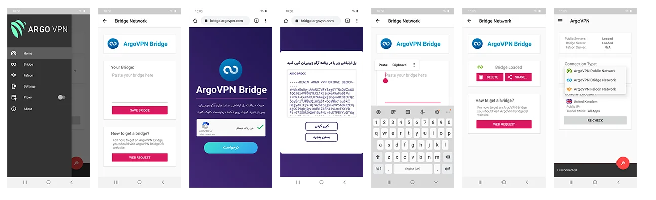 تنظیمات پل در ArgoVPN