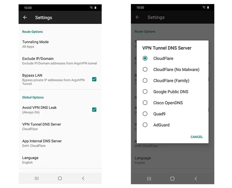 تنظیمات DNS تونل VPN
